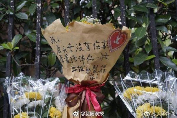 麦穗丰：每个人都想传给张子宇终结&进攻更不顺 总想让打中锋解题